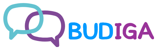 Logo da empresa Budiga